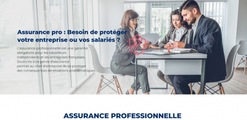 https://www.assurance-pro.org